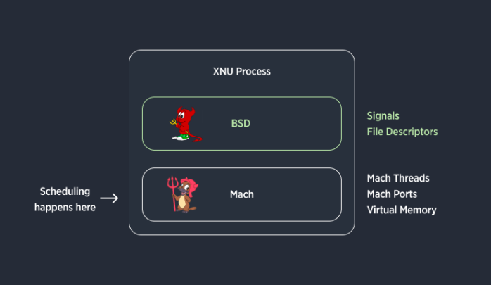 Simplified anatomy of a XNU process, showing the BSD layer on top of the Mach layer